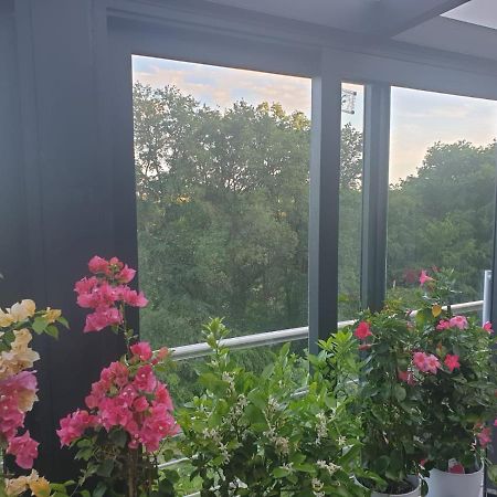 Cozy Room With A Beautiful Garden View バウナタール エクステリア 写真