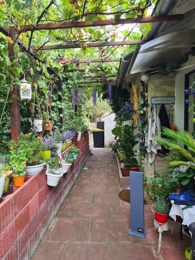 Cozy Room With A Beautiful Garden View バウナタール エクステリア 写真