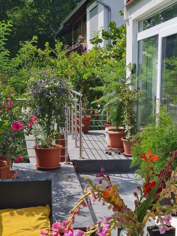 Cozy Room With A Beautiful Garden View バウナタール エクステリア 写真