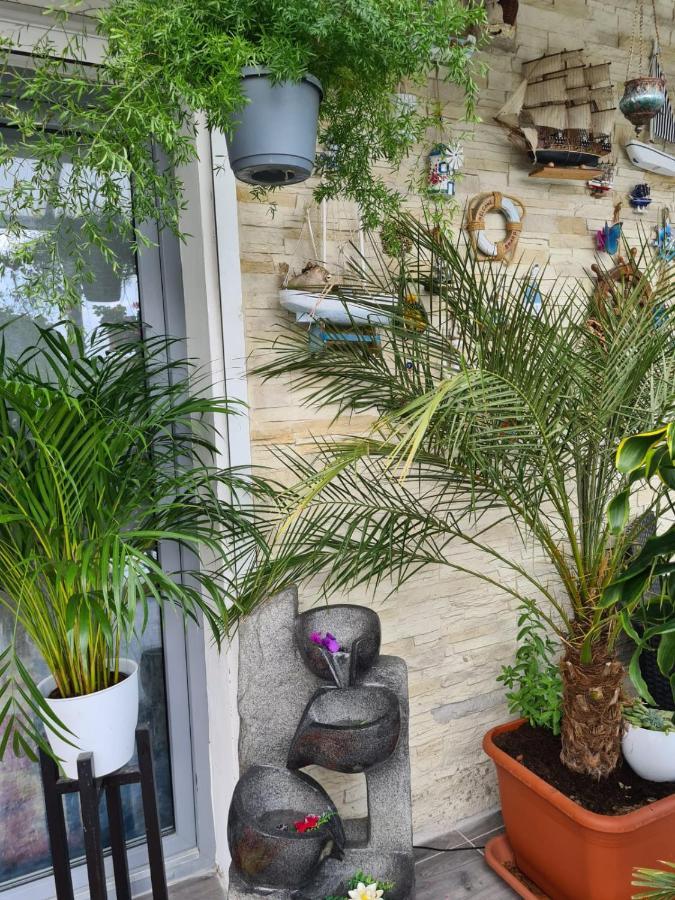 Cozy Room With A Beautiful Garden View バウナタール エクステリア 写真