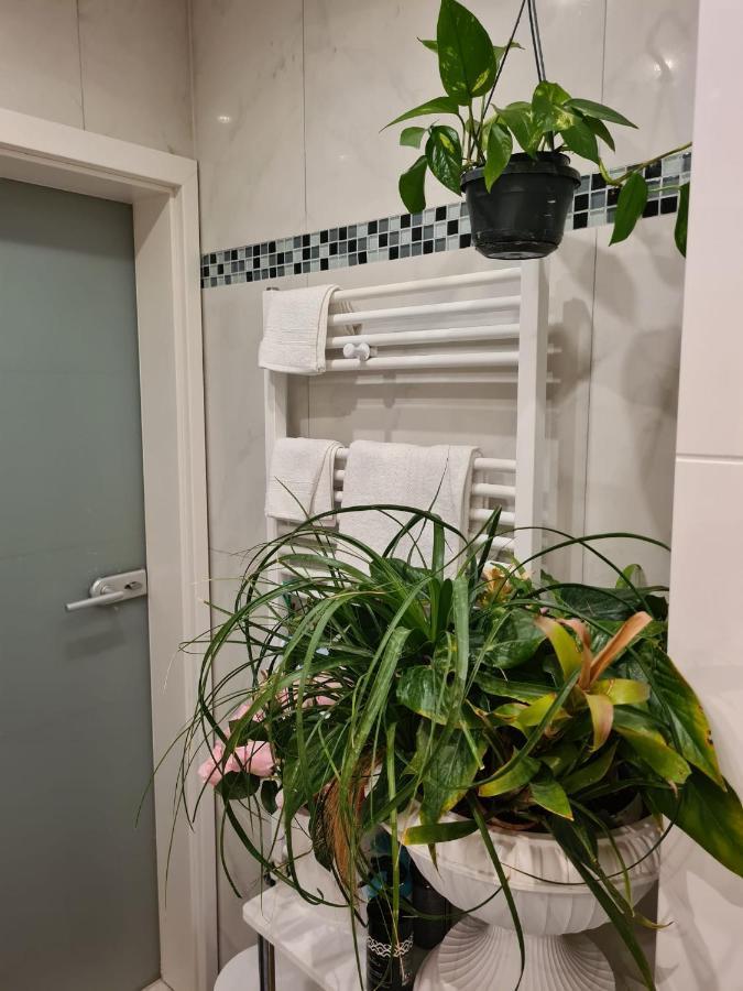Cozy Room With A Beautiful Garden View バウナタール エクステリア 写真